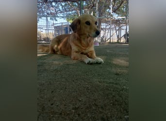 Megan – so still, so schön, so voller Liebe