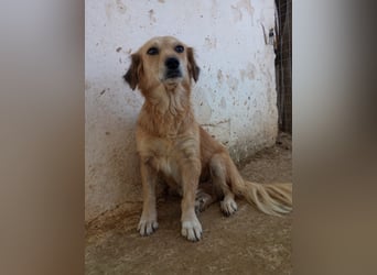 Megan – so still, so schön, so voller Liebe