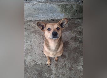 Milka - klein, lieb, verträglich