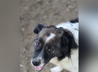 Romeo - verlassen und vergessen