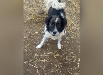 Romeo - verlassen und vergessen