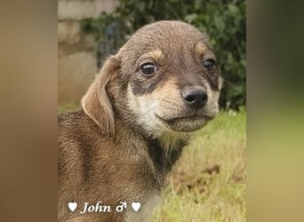 John und Jim suchen ab Dezember ein Zuhause