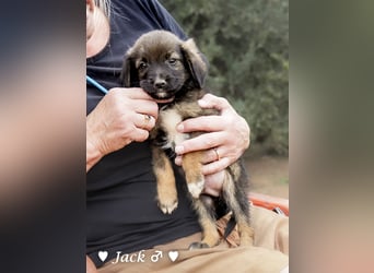 Jack, John und Jim suchen ab Januar ein Zuhause