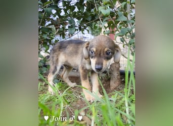 Update:  John und Jim suchen ab Dezember ein Zuhause