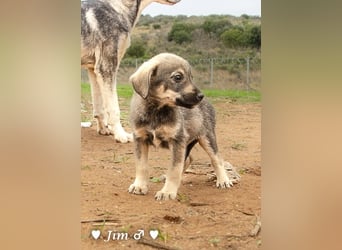 John und Jim suchen ab Dezember ein Zuhause