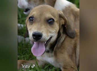 Update: nur noch ein Kokoni sucht ein Zuhause ab August
