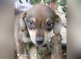 Update:  John und Jim suchen ab Dezember ein Zuhause