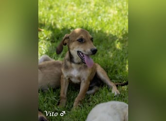 Update: nur noch ein Kokoni sucht ein Zuhause ab August