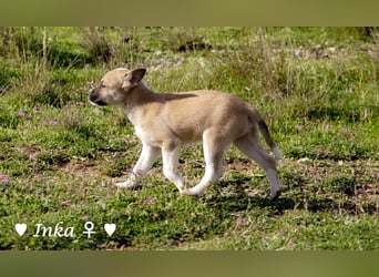 Update: Ein Winzling  sucht ein Zuhause