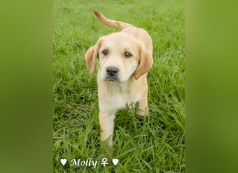 Polly und Molly suchen ein Zuhause