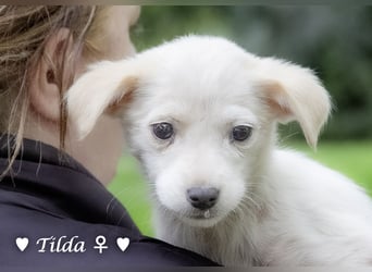 Die Winzlinge Tilly, Tilda und Tanja suchen ab Januar ein Zuhause