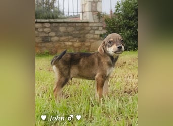 John und Jim suchen ab Dezember ein Zuhause