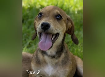 Update: nur noch ein Kokoni sucht ein Zuhause ab August