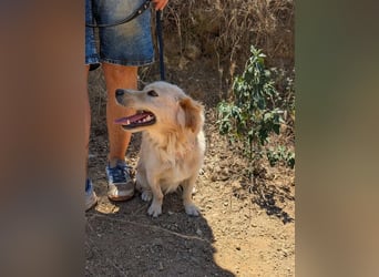 Freddy – kleiner Kokoni auf der Suche nach einem Neuanfang ﻿