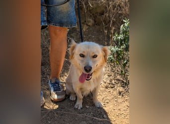 Freddy – kleiner Kokoni auf der Suche nach einem Neuanfang ﻿