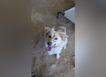 Freddy – kleiner Kokoni auf der Suche nach einem Neuanfang ﻿