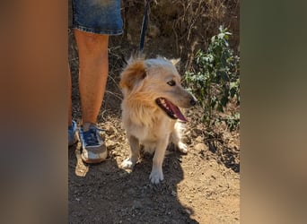 Freddy – kleiner Kokoni auf der Suche nach einem Neuanfang ﻿