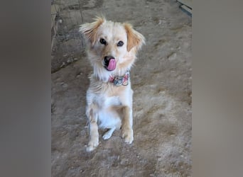 Freddy – kleiner Kokoni auf der Suche nach einem Neuanfang ﻿
