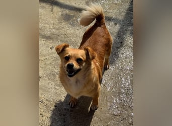 Luna bleibt alleine zurück