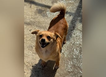 Luna bleibt alleine zurück