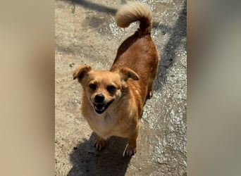 Luna bleibt alleine zurück