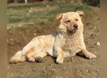 Casper ein kleiner sanfter Engel
