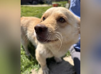 Casper ein kleiner sanfter Engel