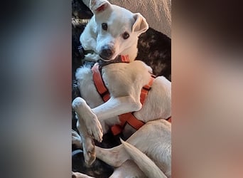 Chance - sooo tapfer