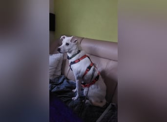 Chance - sooo tapfer