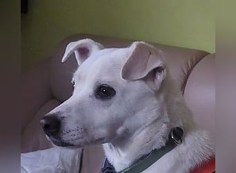 Chance - sooo tapfer