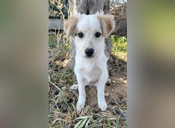 Frida - fröhliches Kokoni Mädchen