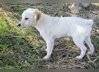 Frida - fröhliches Kokoni Mädchen