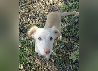 Frida - fröhliches Kokoni Mädchen Frida - fröhliches Kokoni Mädchen