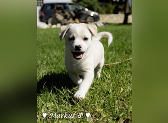 Maisy, Markus, Marlon und Marlow suchen ihre Familie