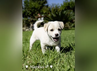 Maisy, Markus, Marlon und Marlow suchen ihre Familie