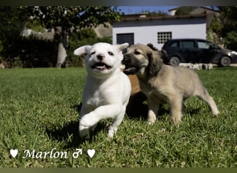 Maisy, Markus, Marlon und Marlow suchen ihre Familie