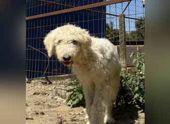 Becci möchte endlich ein eigenes Zuhause haben