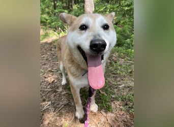 Celeste, die Menschenliebhaberin