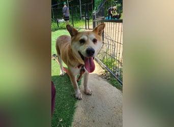 Celeste, die Menschenliebhaberin