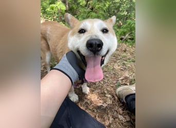 Celeste, die Menschenliebhaberin