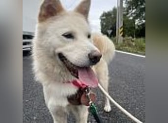 Lady, hat ein liebevolles zu Hause verdient