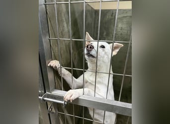 Namjoo, aktives Mädchen würde gerne Deine Begleiterin sein