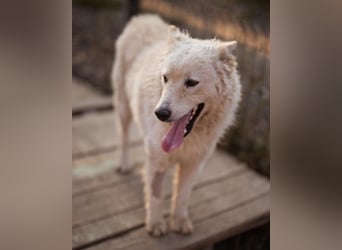 Oliver ❤️ neugierige, kuschlige Fellnase