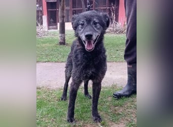 OldBoy ♥Billy♥ Senior sucht Treue & Liebe