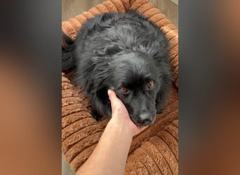 Besuche Daisy in 04157 Leipzig