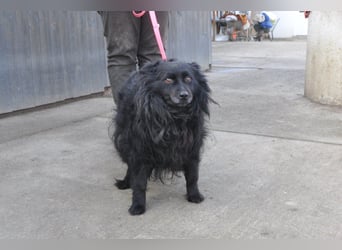 Besuche Daisy in 04157 Leipzig