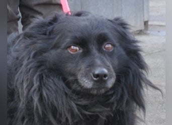 Besuche Daisy in 04157 Leipzig