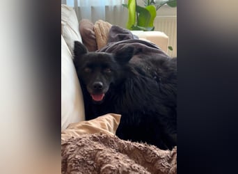 Besuche Daisy in 04157 Leipzig