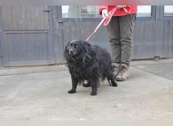 Besuche Daisy in 04157 Leipzig