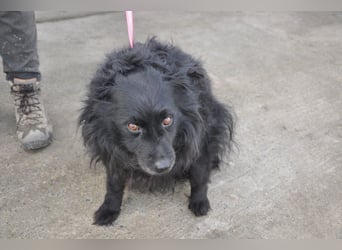 Besuche Daisy in 04157 Leipzig